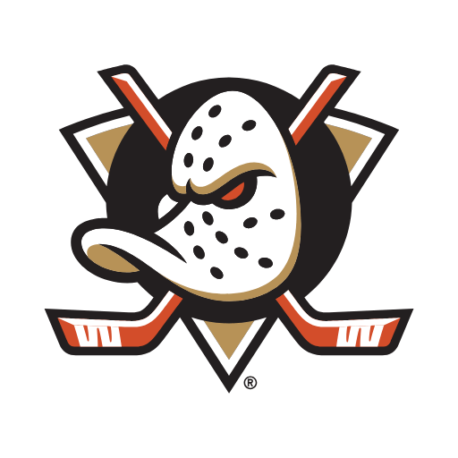 Anaheim Ducks Sneakers