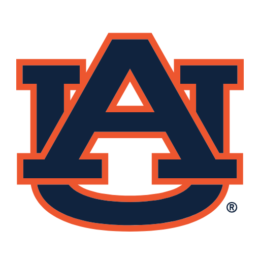 Auburn Tigers Sneakers