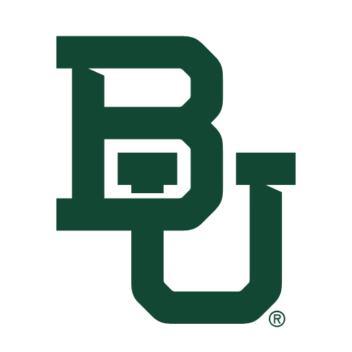 Baylor Bears Sneakers