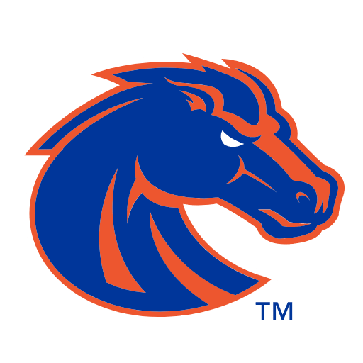 Boise State Broncos Sneakers