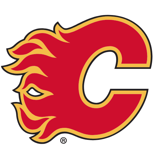 Calgary Flames Sneakers