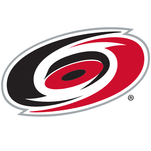 Carolina Hurricanes Sneakers