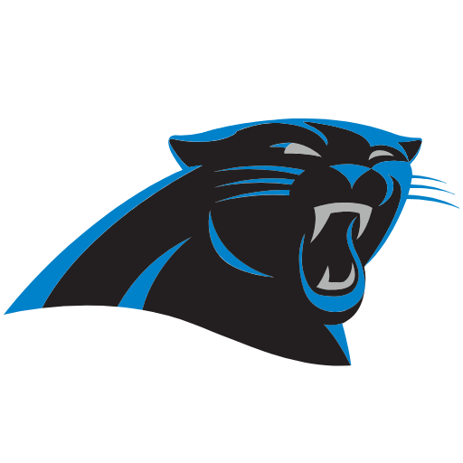 Carolina Panthers Sneakers