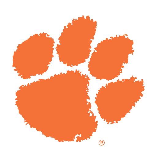 Clemson Tigers Sneakers