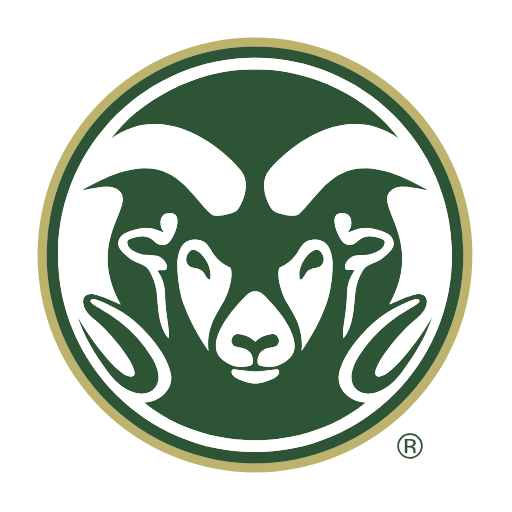 Colorado State Rams Sneakers