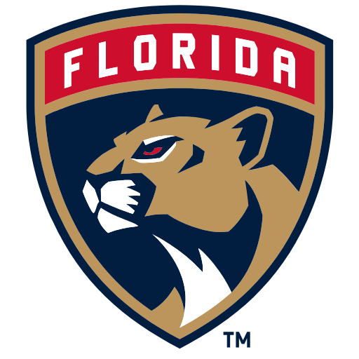 Florida Panthers Sneakers