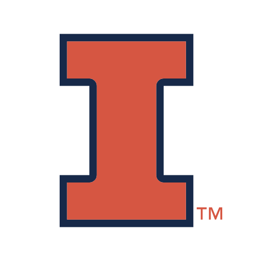 Illinois Fighting Illini Sneakers