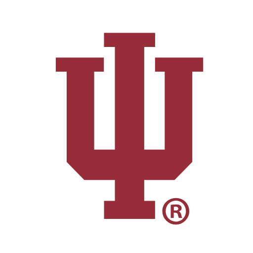Indiana Hoosiers Sneakers