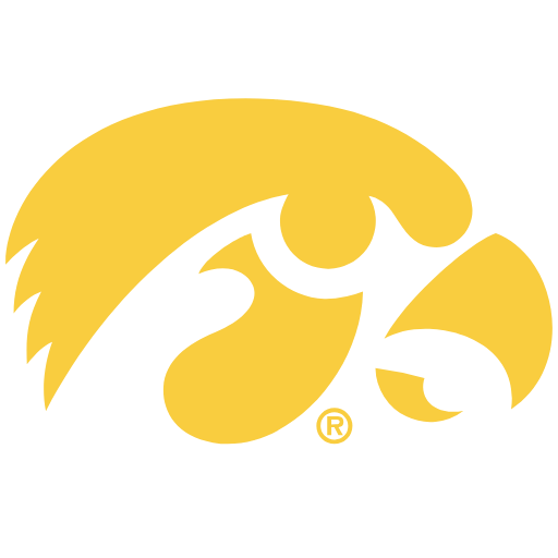 Iowa Hawkeyes Sneakers