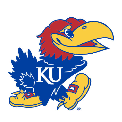 Kansas Jayhawks Sneakers