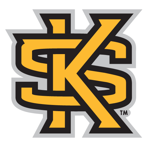 Kennesaw State Owls Sneakers