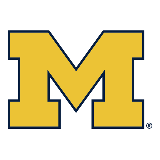 Michigan Wolverines Sneakers