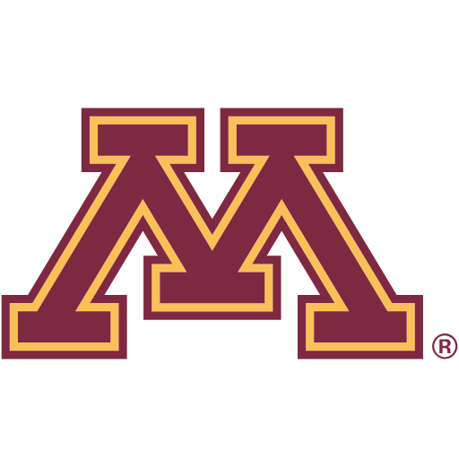 Minnesota Golden Gophers Sneakers