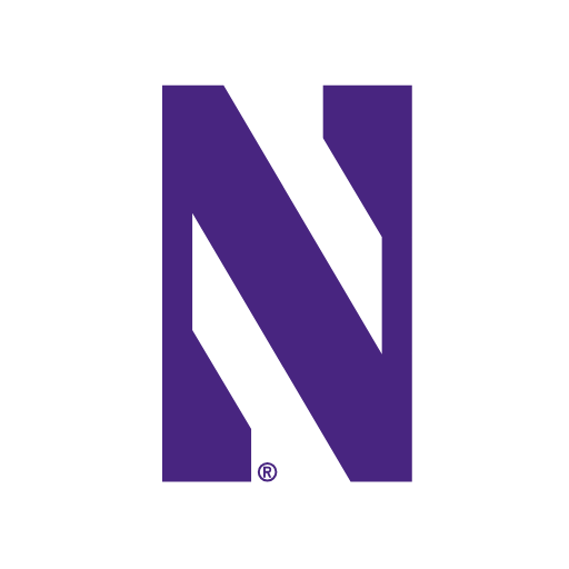 Northwestern Wildcats Sneakers