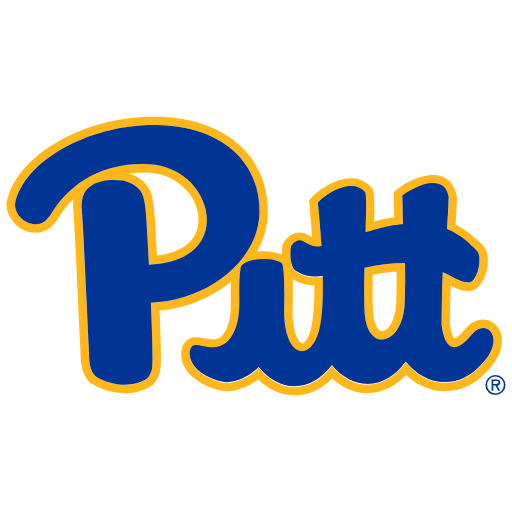 Pittsburgh Panthers Sneakers