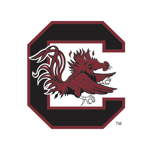 South Carolina Gamecocks Sneakers