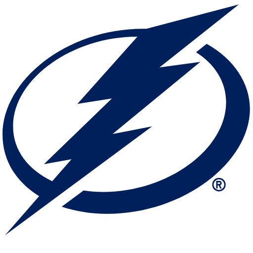Tampa Bay Lightning Sneakers