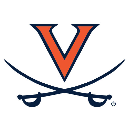 Virginia Cavaliers Sneakers