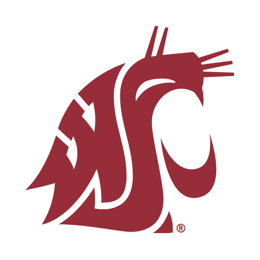 Washington State Cougars Sneakers