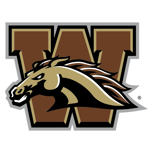 Western Michigan Broncos Sneakers
